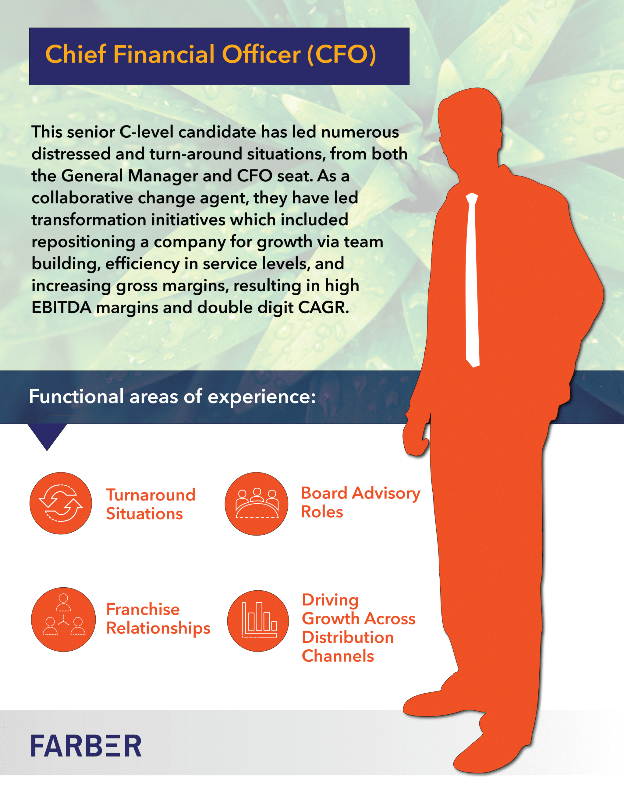 Chief Financial Officer (CFO)