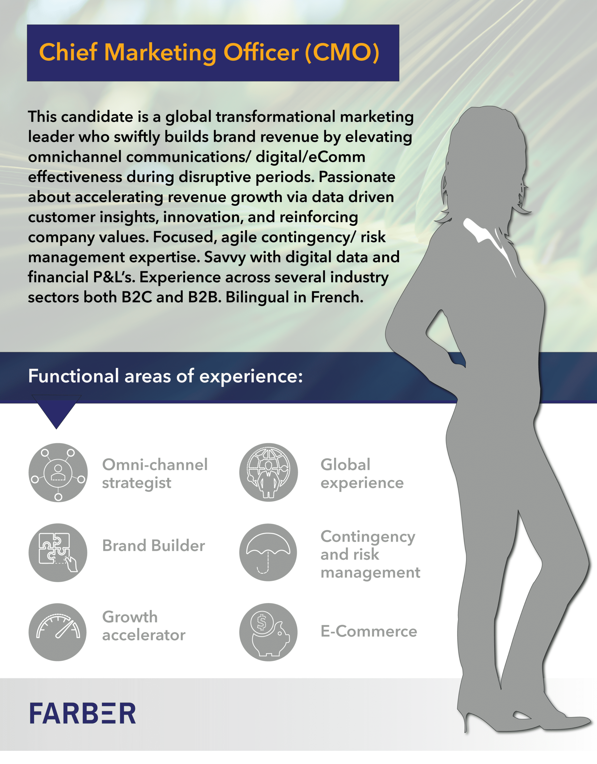 Chief Marketing Officer (CMO)