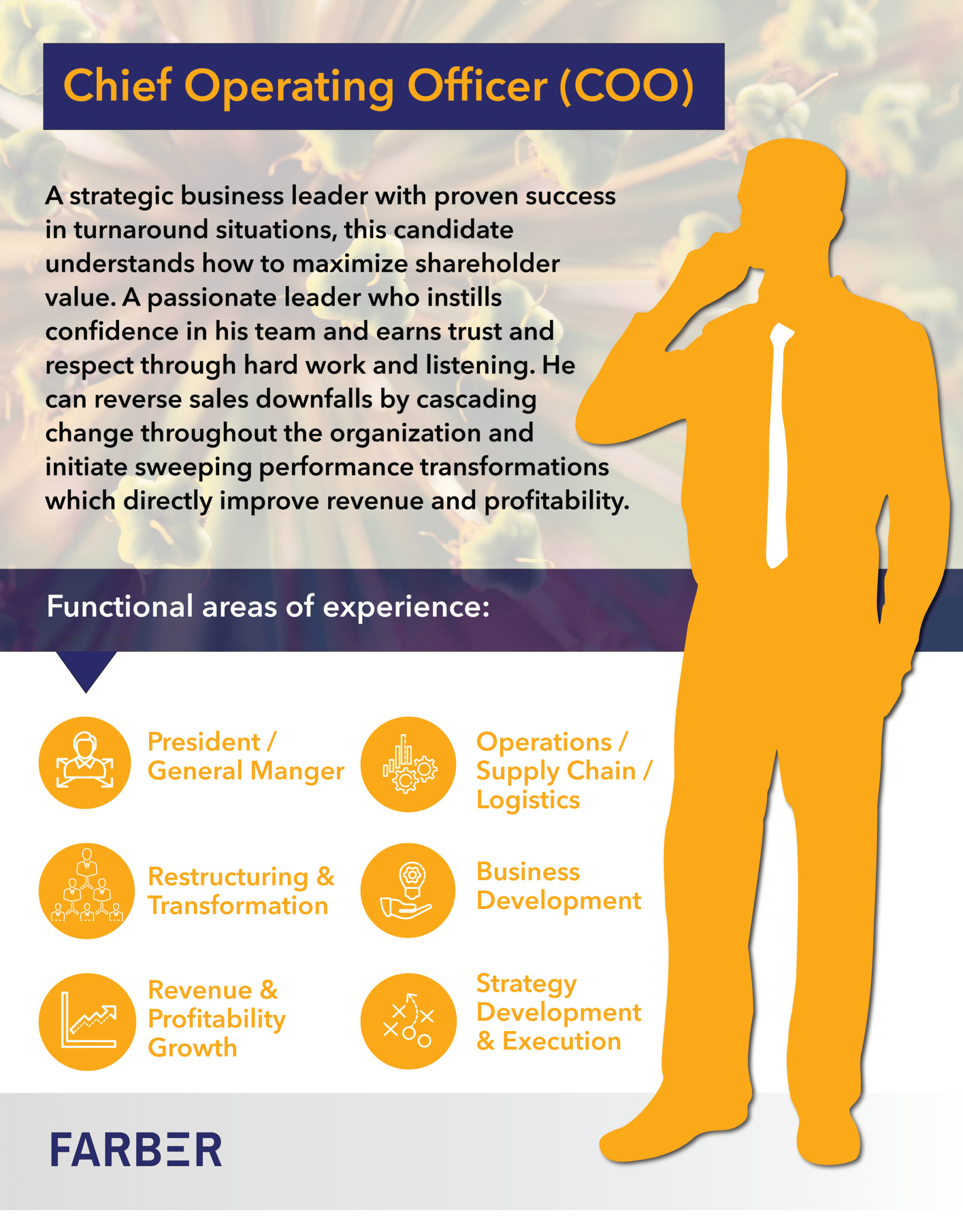 Chief Operating Officer (COO)