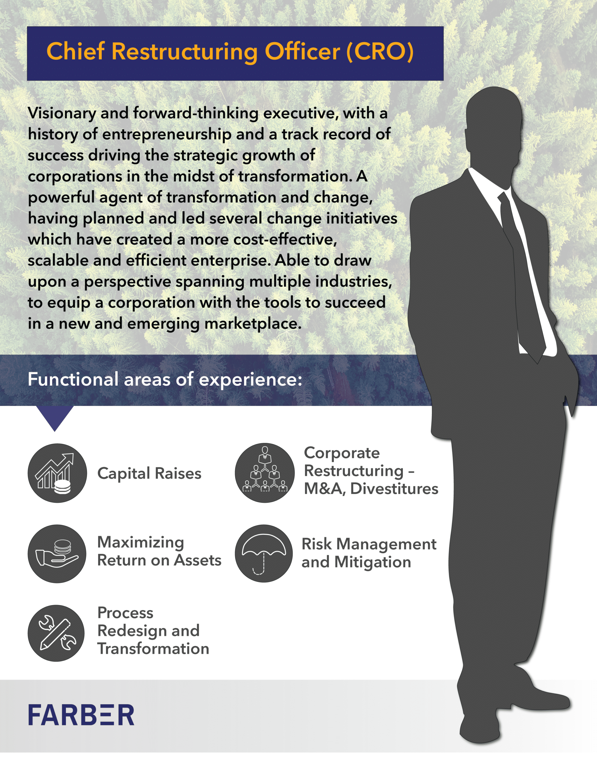 Chief Restructuring Officer (CRO) Archetype