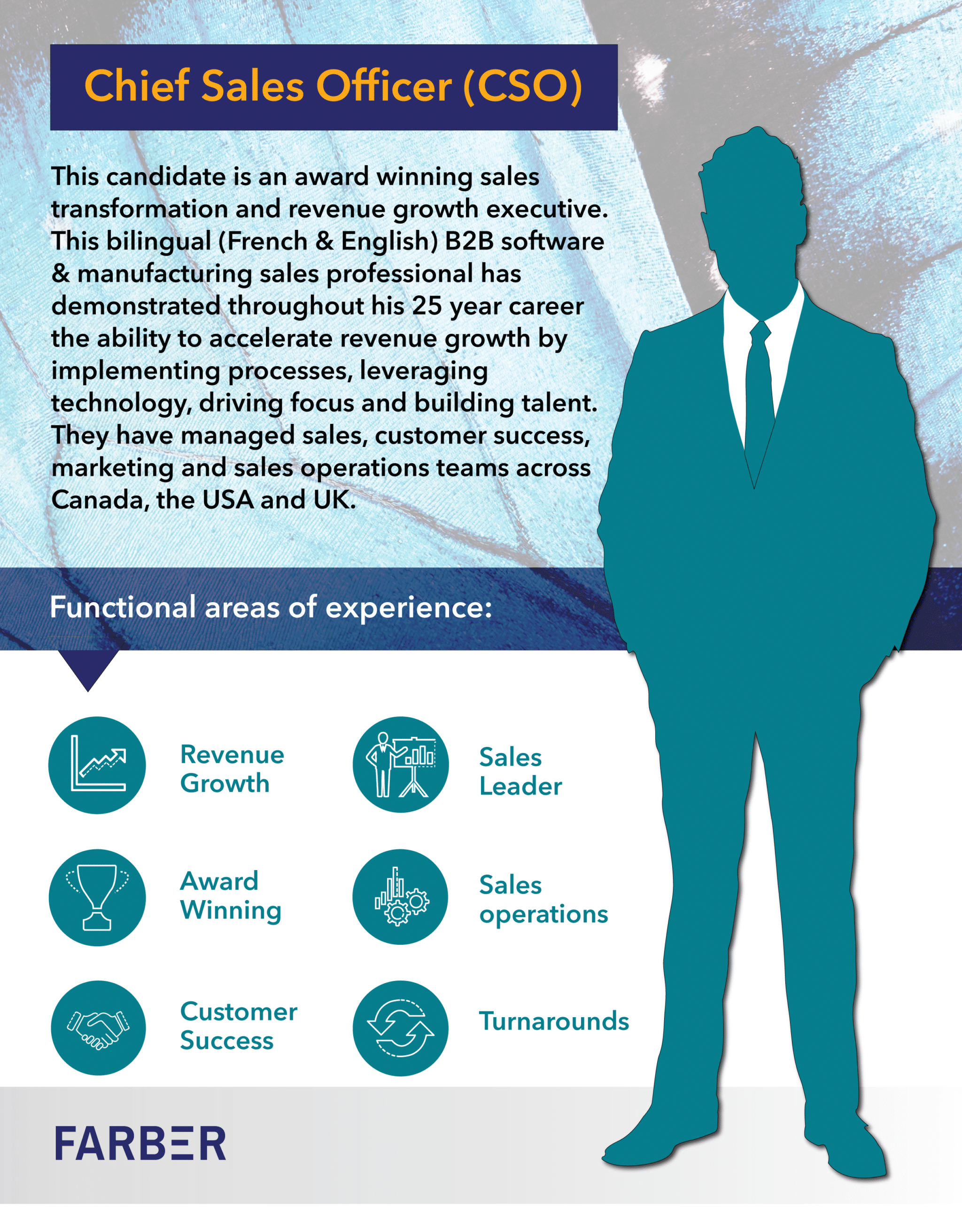 Chief Sales Officer (CSO) Archetype